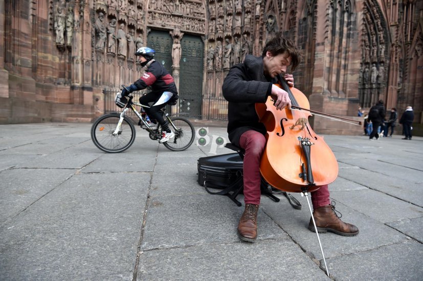 Cathédrale de Strasbourg, violoncelliste