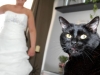 mariage-windenberger-(9)
