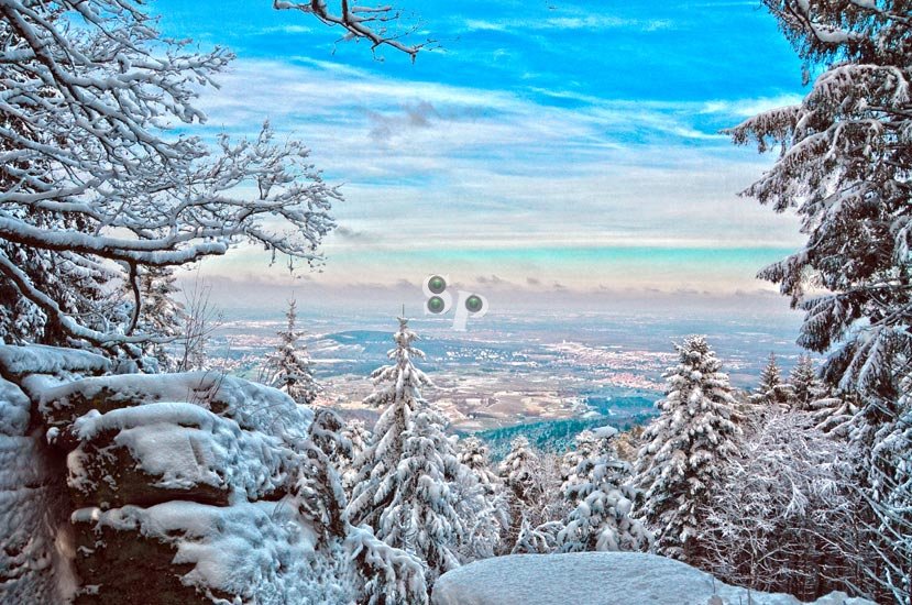 Plaine d'Alsace sous la neige