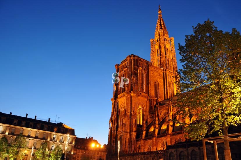 Photo de nuit : Cathédrale de Strasbourg
