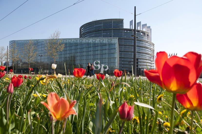 le printemps de retour à Strasbourg