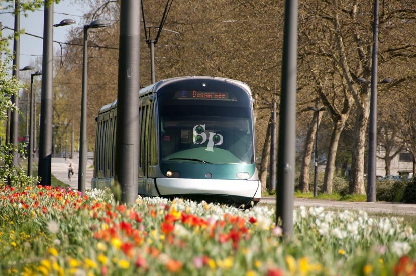 printemps2013(23)