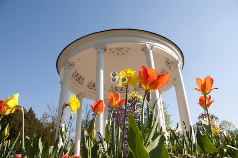 le printemps de retour à Strasbourg