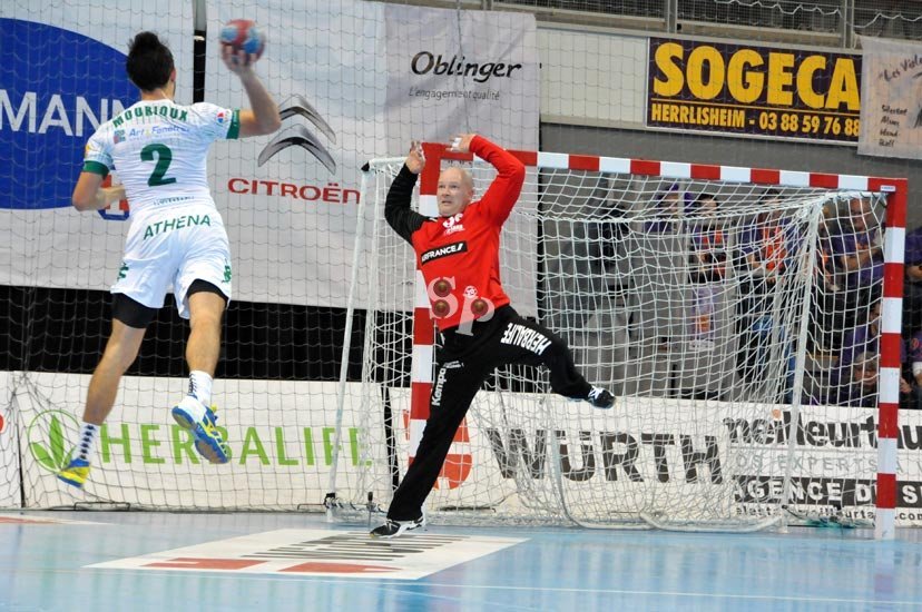 Sélestat Alsace Handball Laszlo Fulop
