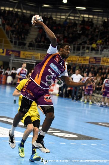 Sélestat Alsace Handball : Rudy Seri