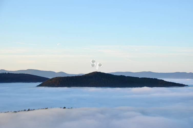 plaine d'alsace sous le brouillard