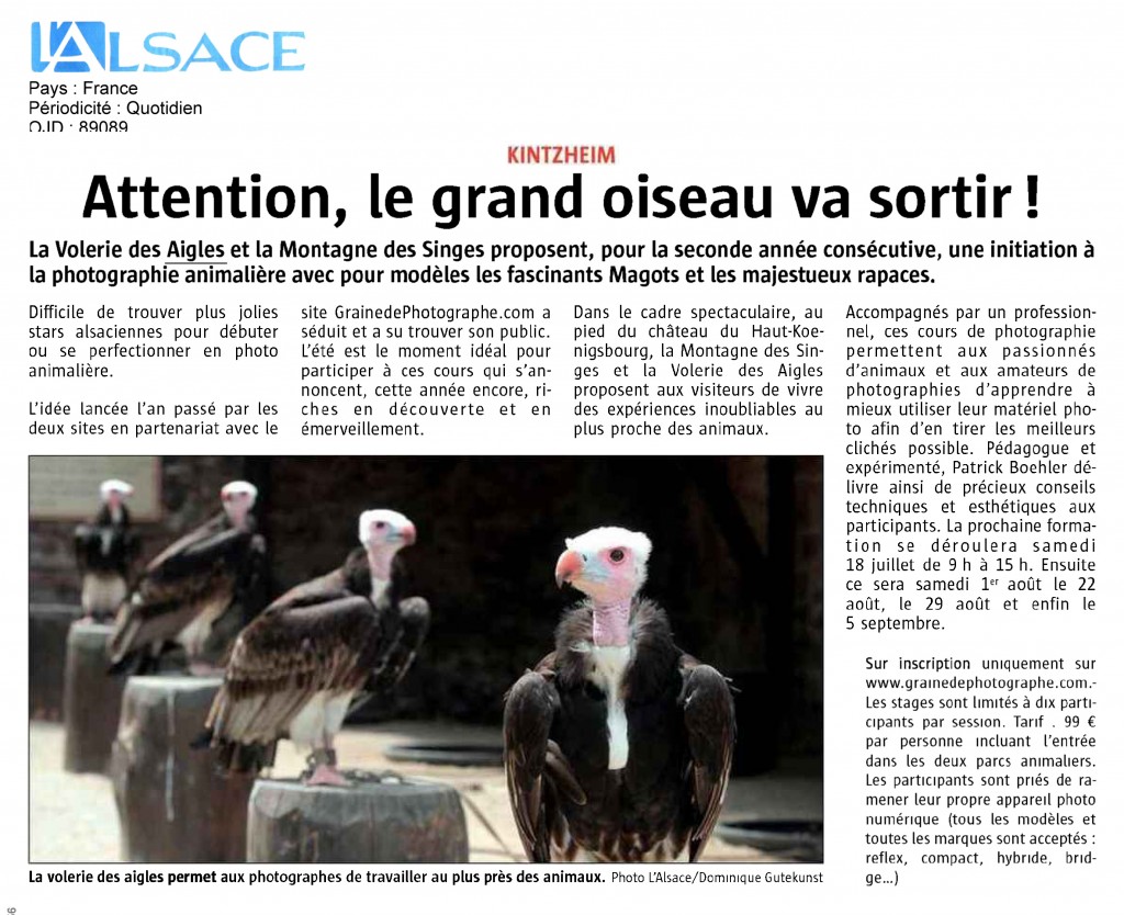 article montagne-2015-07-17-1326@L_ALSACE