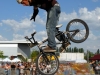 bmx2-(17)