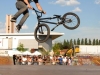 bmx2-(177)