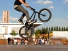 bmx2-(178)