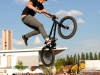 bmx2-(181)