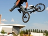 bmx2-(188)
