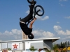 bmx2-(49)