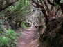 Tenerife : Anaga