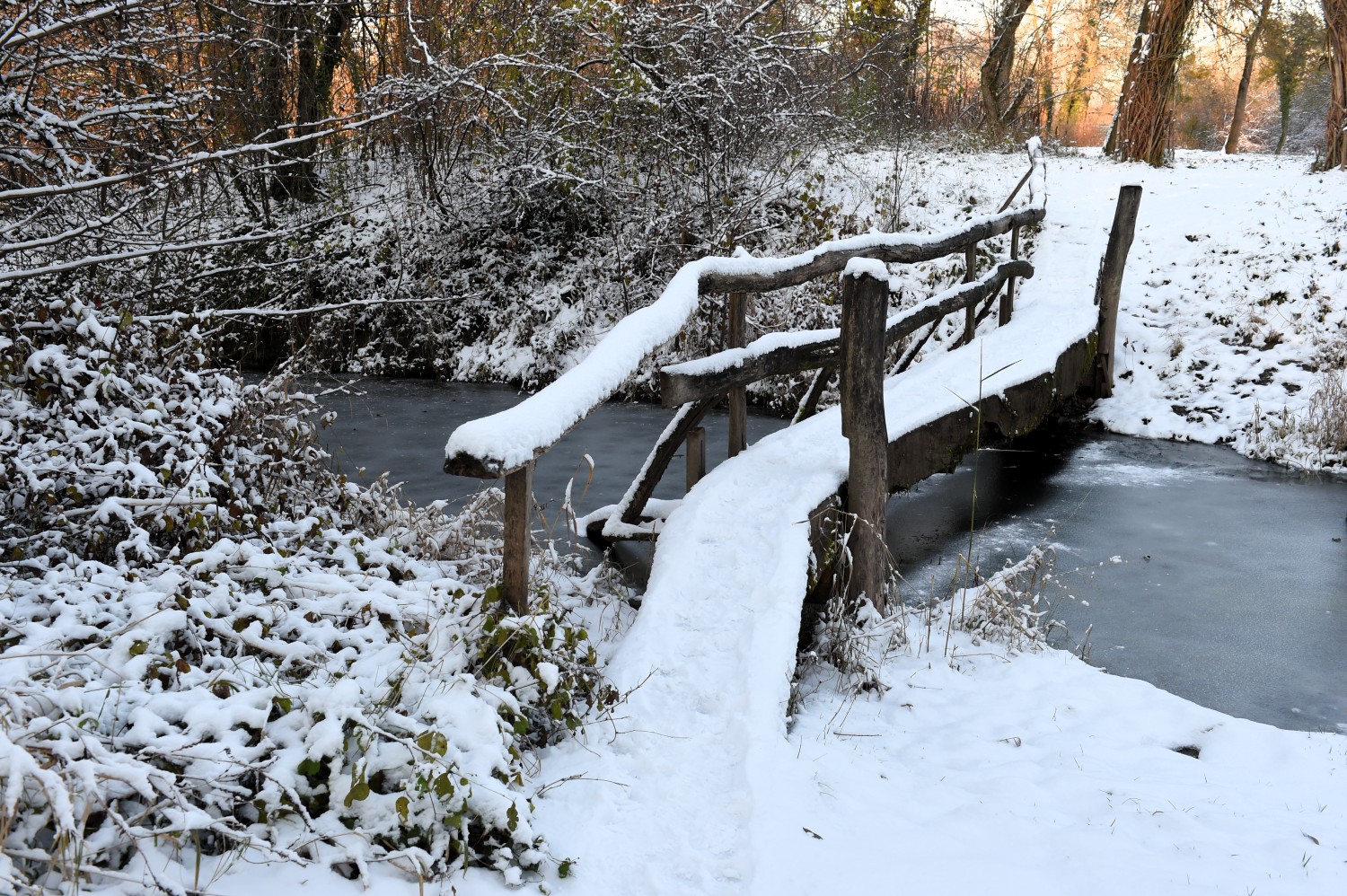 Un bras du vieux Rhin en hiver