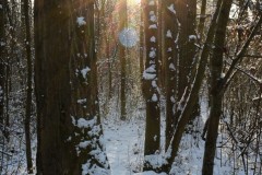 Auenwildnis-pfad-16
