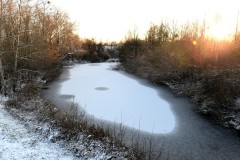 Auenwildnis-pfad-45