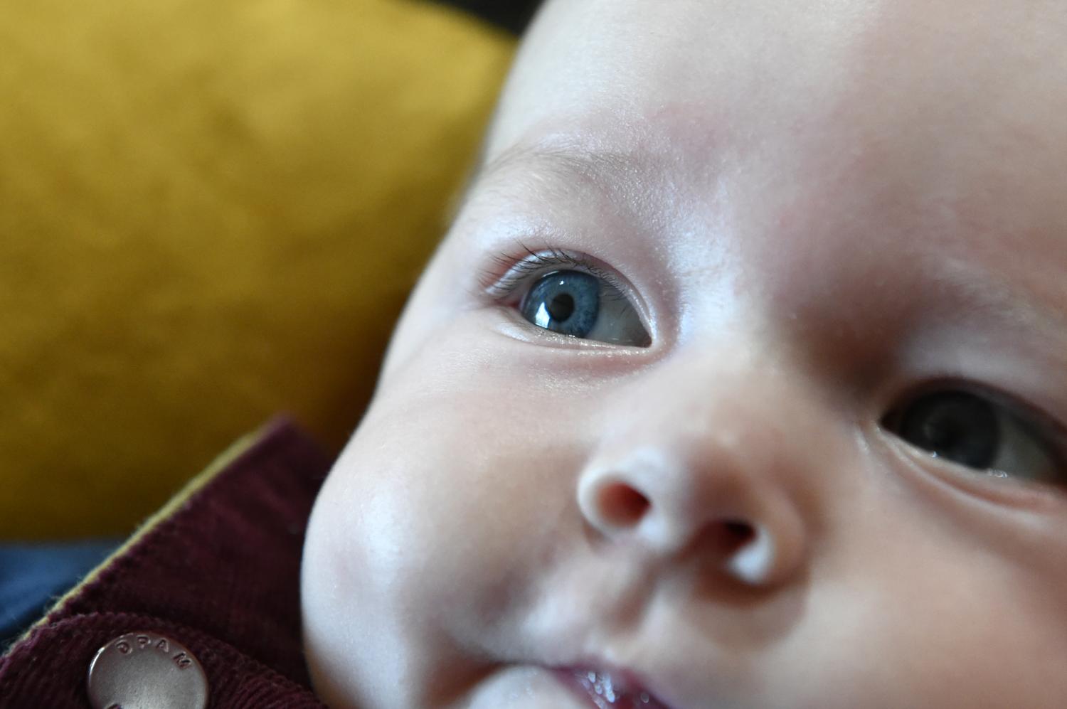 portraits de bébé