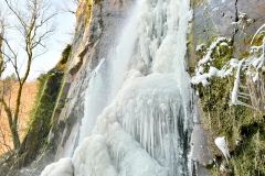 DSC_7201-copie