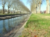 canal-rhone-rhin-(4)