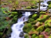 cascade-andlau-(18)-tiltshift