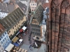 coursives--cathedrale-de-strasbourg-(5)