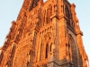 exterieur-cathedrale-strasbourg-(3)
