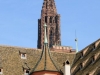 exterieur-cathedrale-strasbourg-(30)