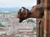 gargouilles-cathedrale-strasbourg-(23)