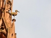 statues-cathedrale-strasbourg-(148)