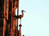 statues-cathedrale-strasbourg-(82)