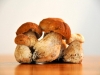 champignons-(14)