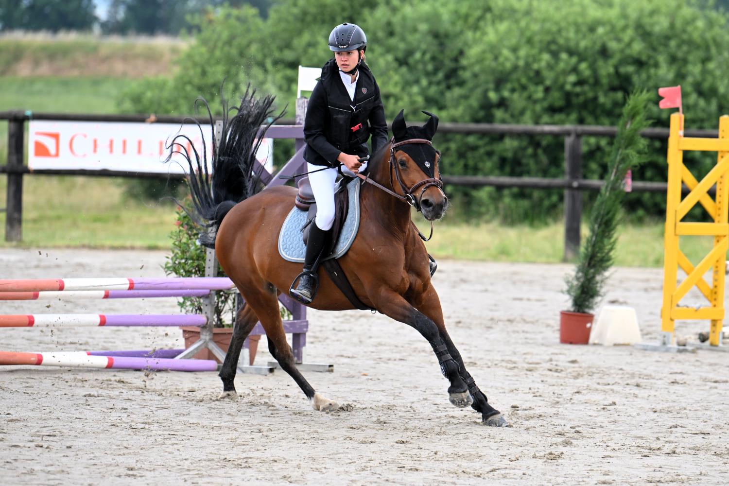 Championnat Départemental de Concours de Saut d'Obstacles