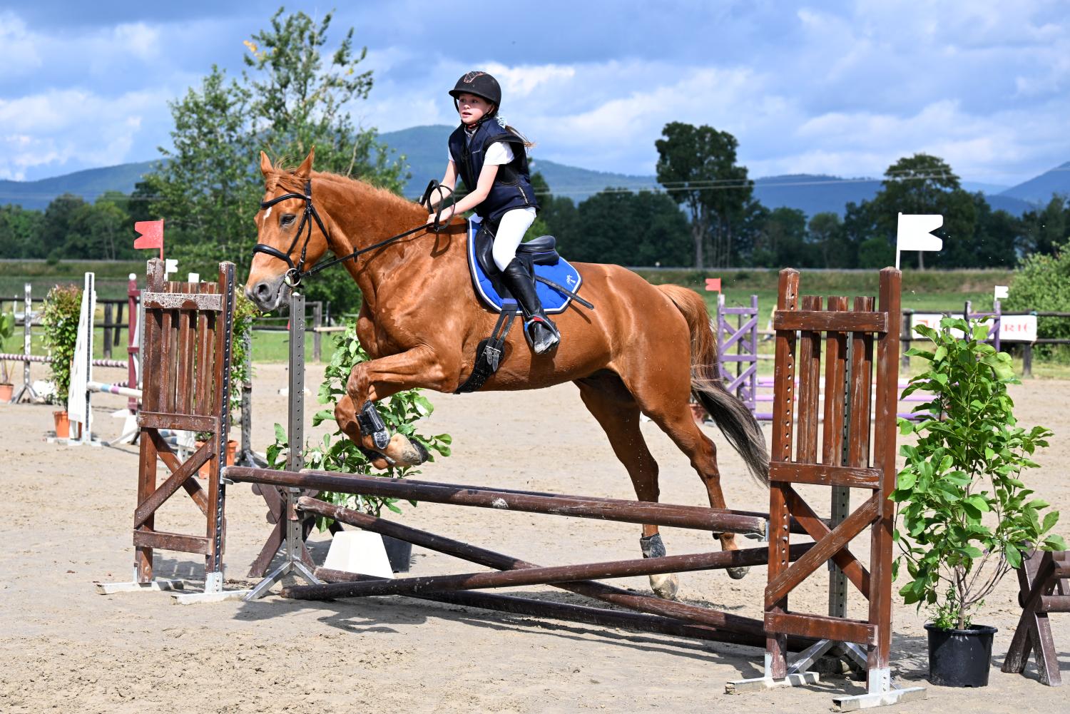 Parc d'obstacles CSO N°17