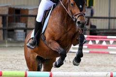 championnat-departemental-CSO-41