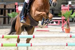 championnat-departemental-CSO-43