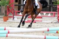 championnat-departemental-CSO-45