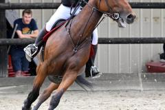 championnat-departemental-CSO-49