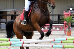 championnat-departemental-CSO-50