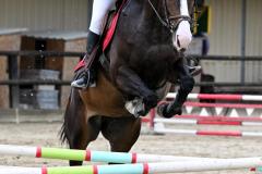 championnat-departemental-CSO-51