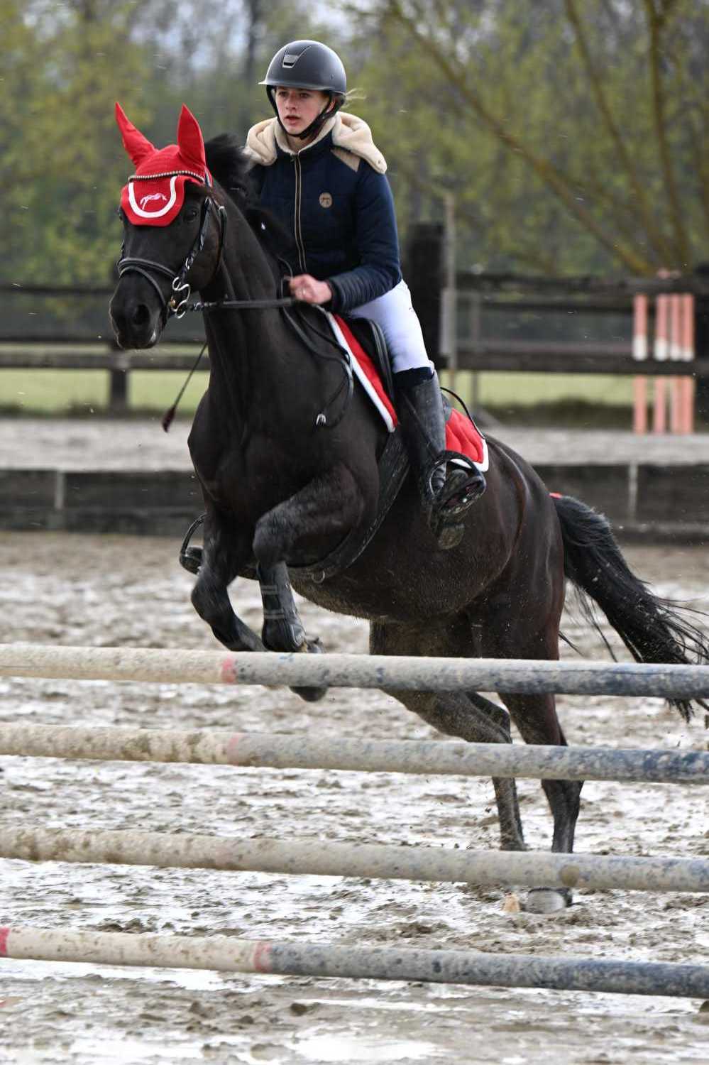 CSO-photos-concours-saut-obstacles-08