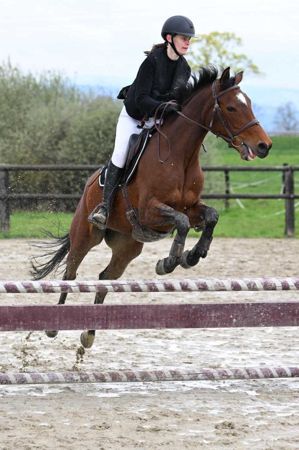 CSO-photos-concours-saut-obstacles-14