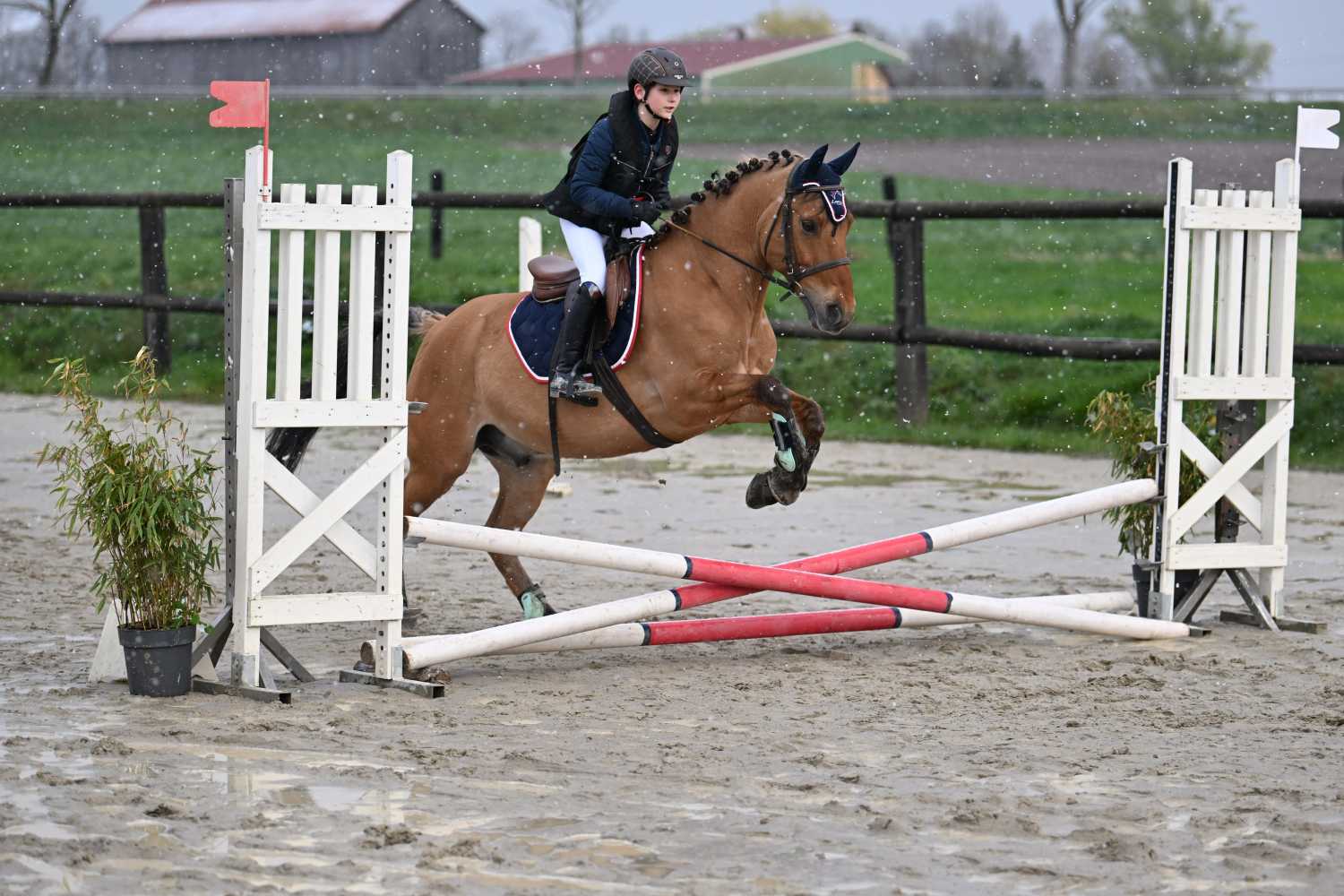 Parc d'obstacles CSO N°17