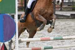 CSO-photos-concours-saut-obstacles-03