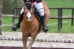 CSO-photos-concours-saut-obstacles-04