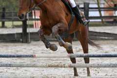 CSO-photos-concours-saut-obstacles-06