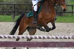 CSO-photos-concours-saut-obstacles-10