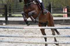 CSO-photos-concours-saut-obstacles-19