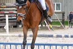 CSO-photos-concours-saut-obstacles-21