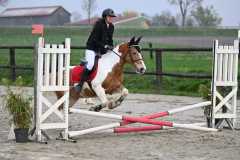 CSO-photos-concours-saut-obstacles-28